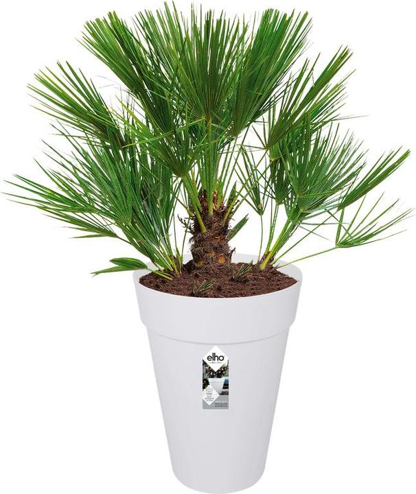 Actual product image Elho Loft Urban (33.50 cm)