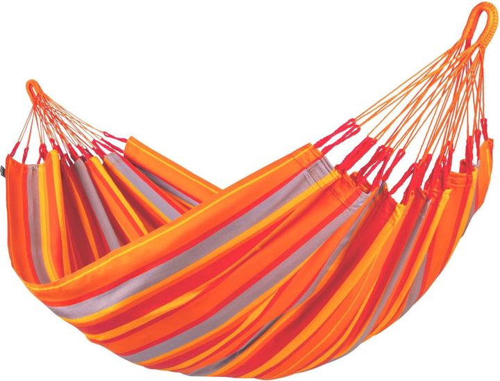 Toucan