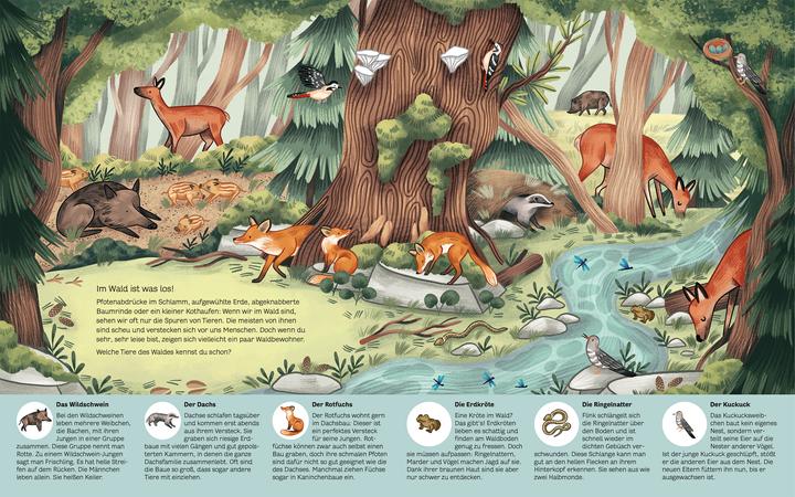 Produktbild Kleine Geheimnisse der Natur - Wald und Wiese (Deutsch, Stütze & Vorbach, Kaja Kajfež, 2022)