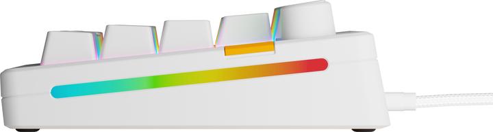 Image du produit Glorious Clavier de jeu GMMK 3 HE 65 % personnalisé - Pre-Built, ANSI (US), Fox HE Switches, blanc (US, Filaire)