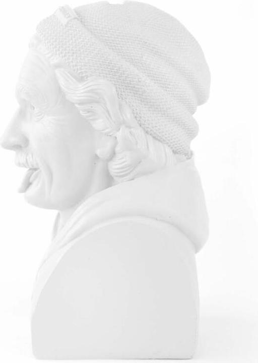 Immagine prodotto Donkey Products Banca di monete storiche Hipster Einstein
