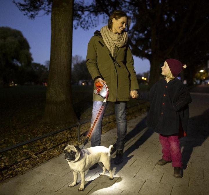 Produktbild Flexi LED Lighting System (S, M, L, Hund, Allgemein)