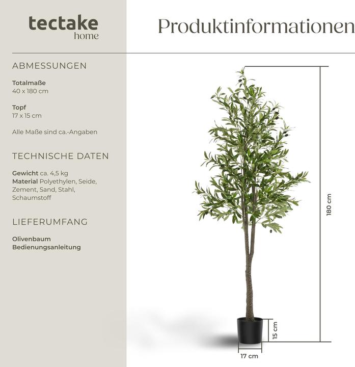 Produktbild tectake Olivenbaum Oleand (180 cm)