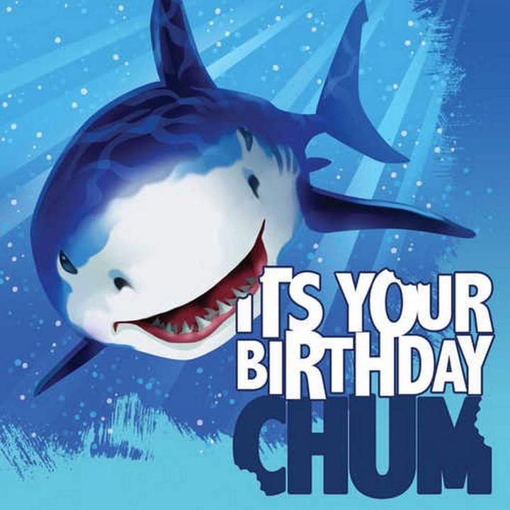 Image du produit Creative Party Haifisch (16 x, 16,5 x 16,5 cm)
