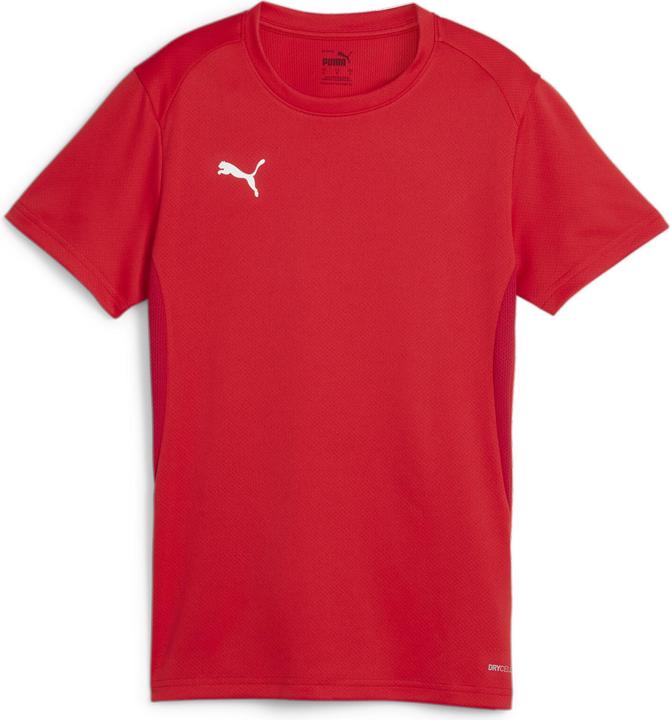 Puma teamGOAL Jersey Wmn