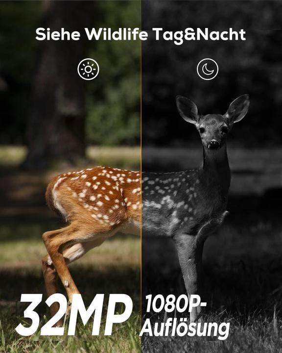 Produktbild iZeeker Wildkamera mit Bewegungsmelder und Nachtsicht