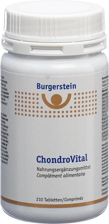 Immagine prodotto Burgerstein Chondrovital (1 Pezzo/i, Pillole, 328 g)