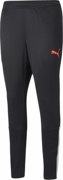 Actual product image Puma TeamLIGA training pants men (S)