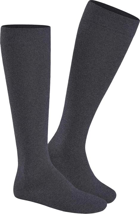 550 gris mel.