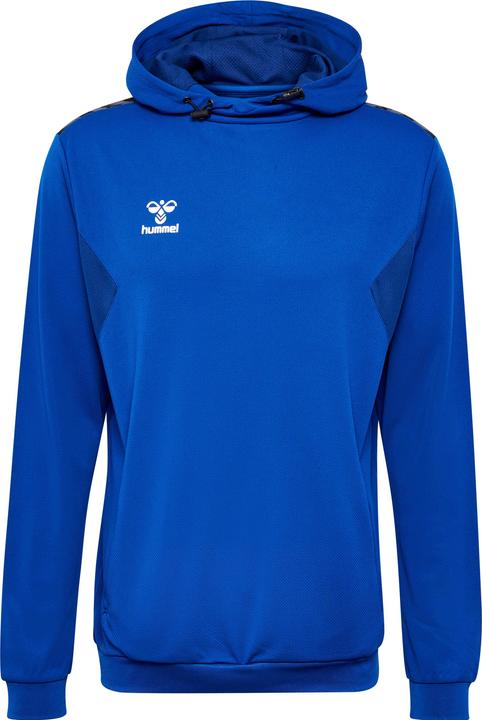 hummel Hmlauthentic Pl Hoodie