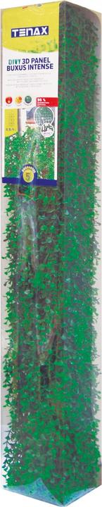 BUXUS INTENSE - Verde