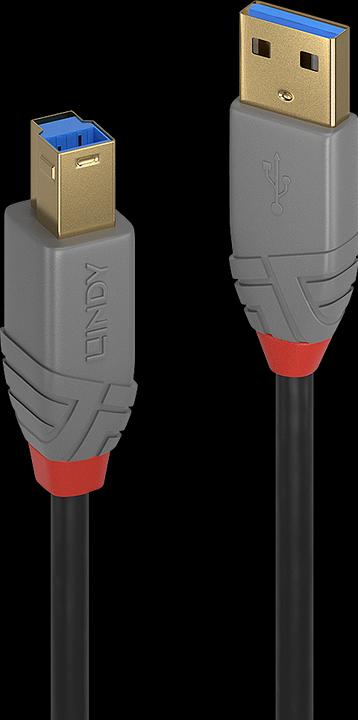 Image du produit Lindy USB/A-USB/B M-M (3 m, USB 3.0)