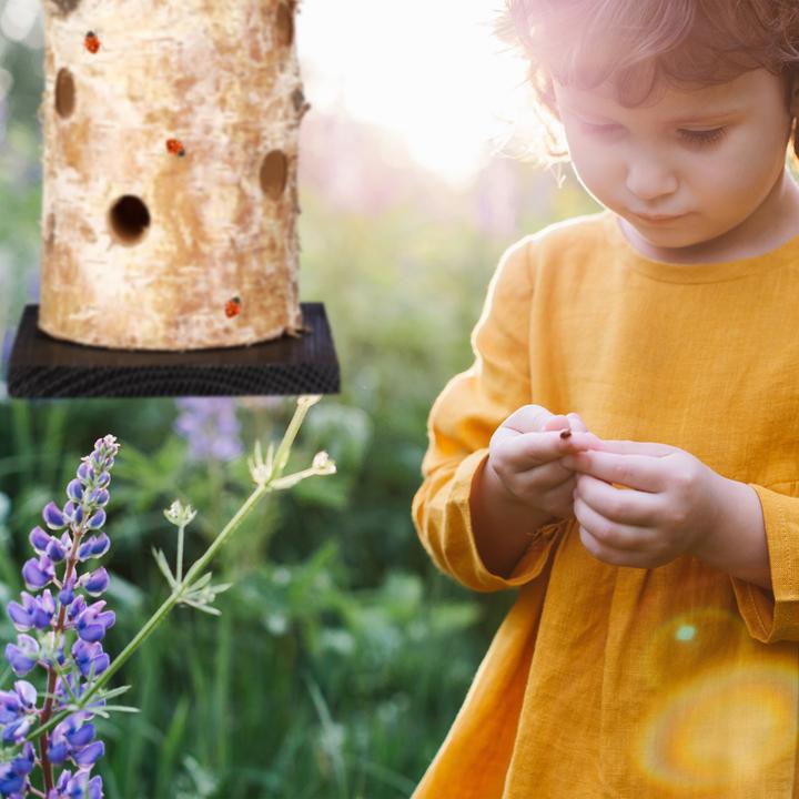 Actual product image Relaxdays Ladybird house (Ladybirds)