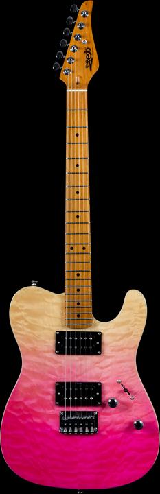 Actual product image JET Electric Guitar S-Style 450 Series (Electric guitar)