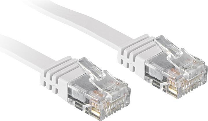 Lindy Network cable (UTP, CAT6, 0.30 m)