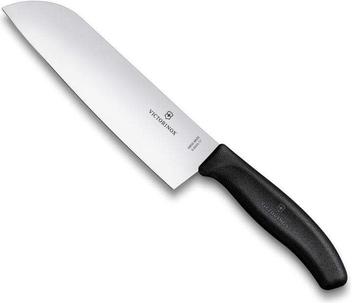 Actual product image Victorinox Swiss Classic (17 cm)