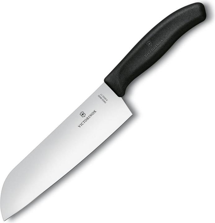 Actual product image Victorinox Swiss Classic (17 cm)