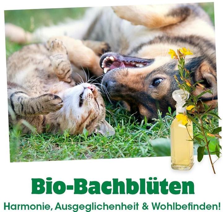 Produktbild cdVet Bio-Bachblüten Reviermarkierer (1 Stk., 60 g)