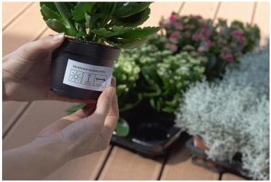 Actual product image HERMA Weatherproof labels A4 removable