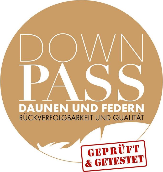 Produktbild Irisette Daunensteppbett Nora leicht (240 g, 135 x 200 cm)