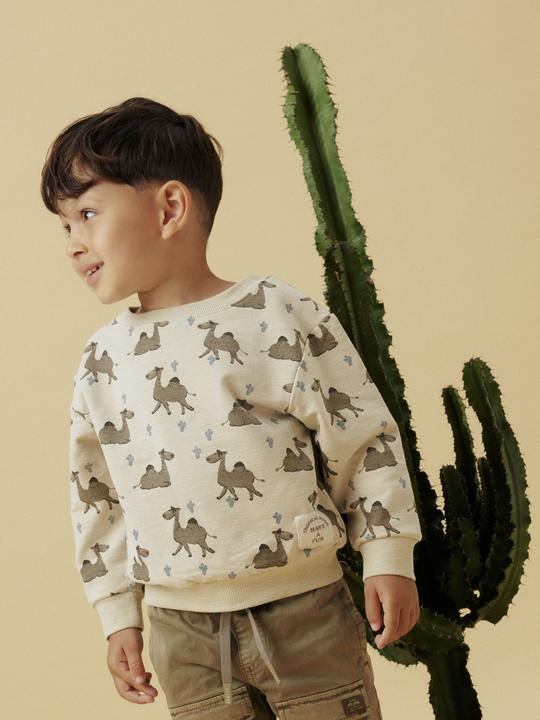 Actual product image Name it Bio-Baumwoll Sweatshirt (110)
