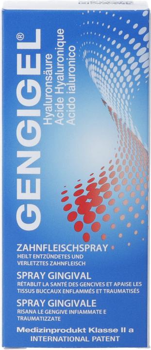 Gengigel Zahnfleischspray (1 x, 20 ml, 41 g)