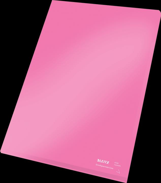 Actual product image Leitz Premium A4 Viewing Pouch (A4, 100 x)