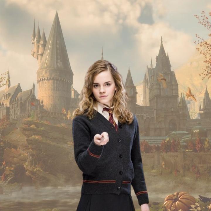 Image du produit Noble Collection Harry Potter Baguette magique Hermione Granger (édition personnage)