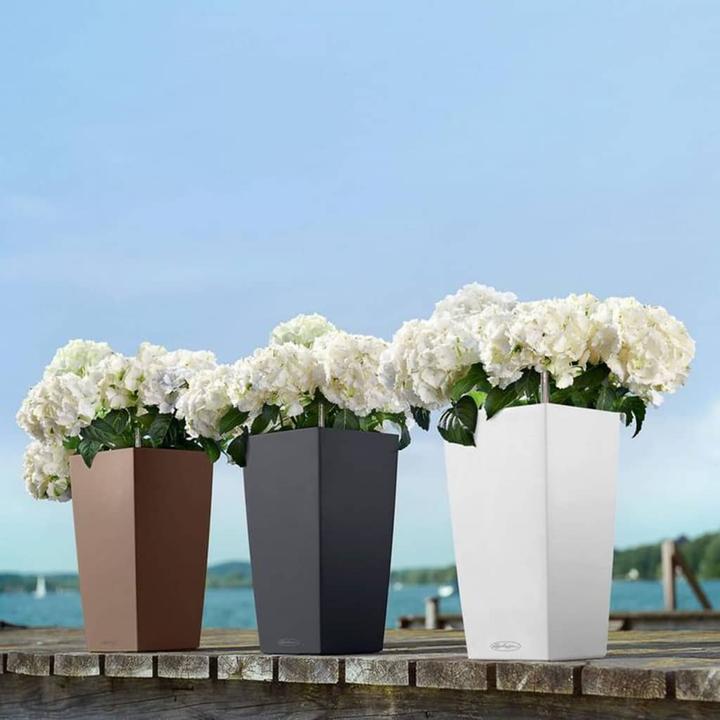Actual product image Lechuza Cubico Color (22 cm)