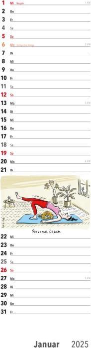 Produktbild Fiese Bilder Streifenkalender 2025: Monatskalender für die Wand (Deutsch)