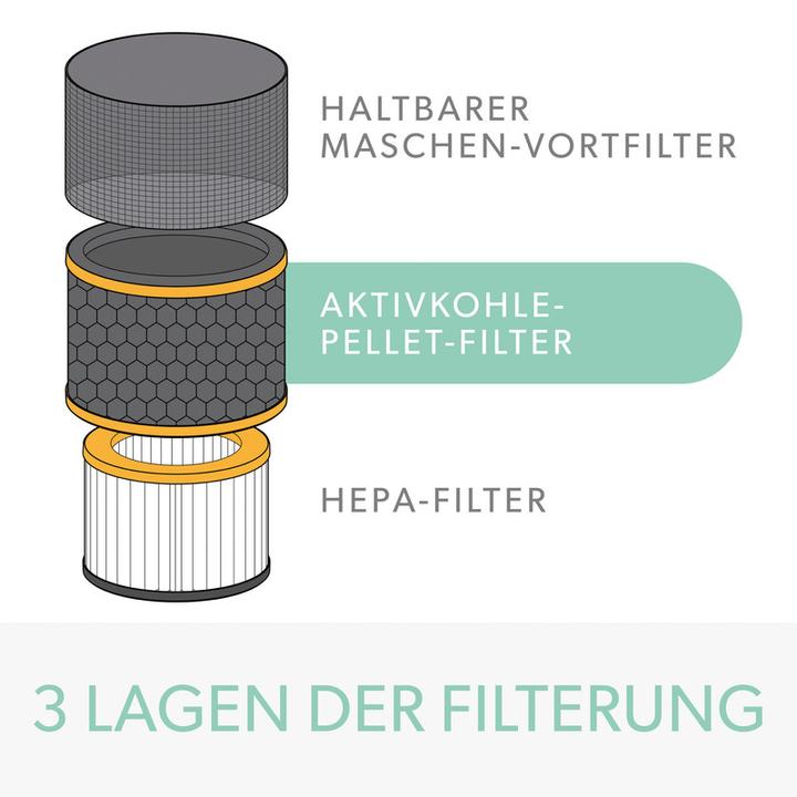 Actual product image Leitz Activated carbon filter TruSens 2415126 Odors & VOC, HEPA (1 x)
