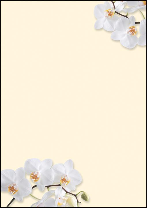 Produktbild Sigel Design-Papier (90 g/m², 50 x)