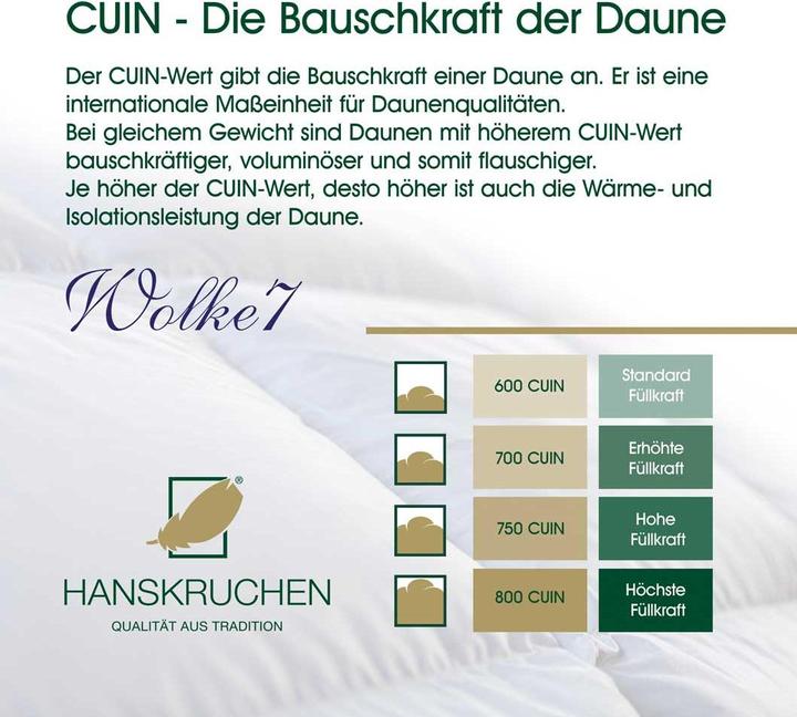 Actual product image Hanskruchen Wolke 7 (960 g, 155 x 200 cm)