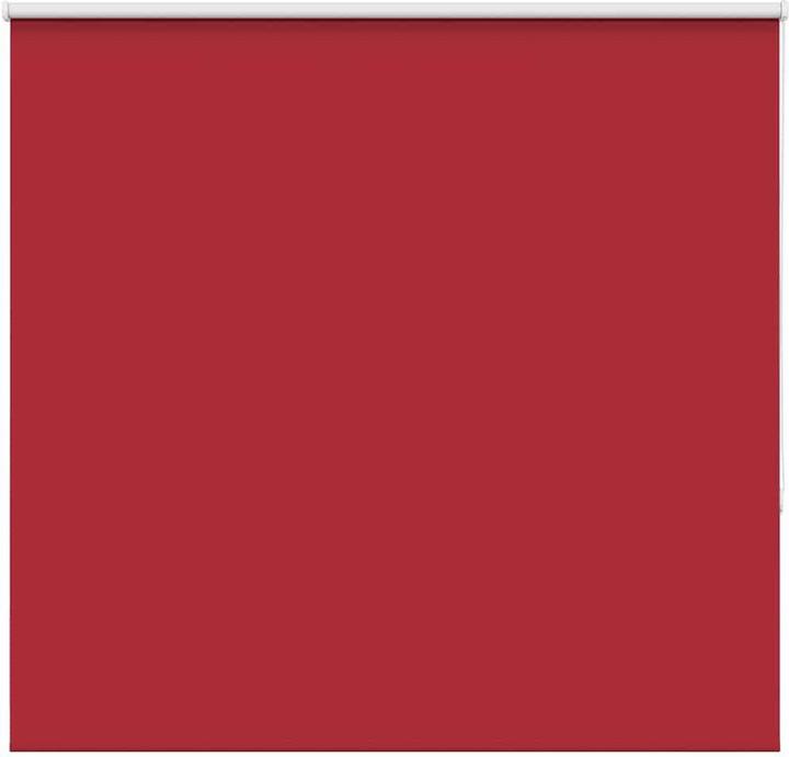 Rot