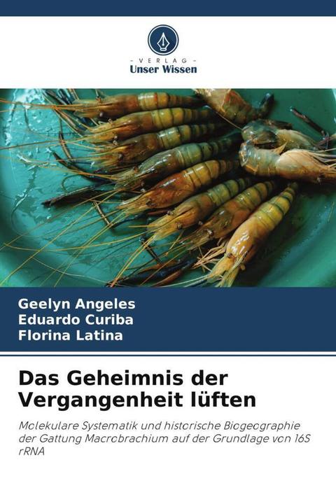 Actual product image Das Geheimnis der Vergangenheit lüften (Geelyn Angeles, Eduardo Curiba, Florina Latina, 2023)