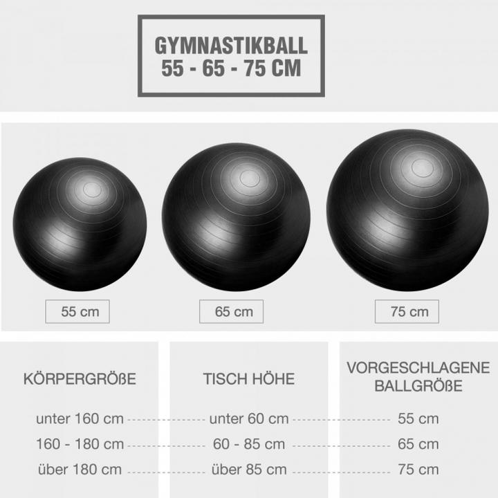 Actual product image Gorilla Sports Exercise ball (75 cm)