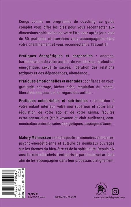 Actual product image Soul dating : rendez-vous avec votre âme (French, Malmasson Malory, 2022)