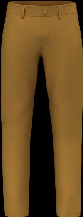 Image du produit Salewa Pantalon Fanes Sarner Light (50, L)