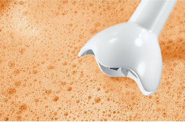 Actual product image Bosch Hausgeräte MSM6B100