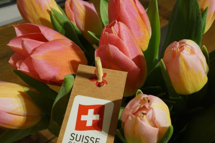 Image du produit Rutishauser Blumen Tulipes (Fleurs coupées)