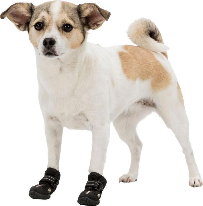 Actual product image Trixie Walker Active (M, Dog boots)