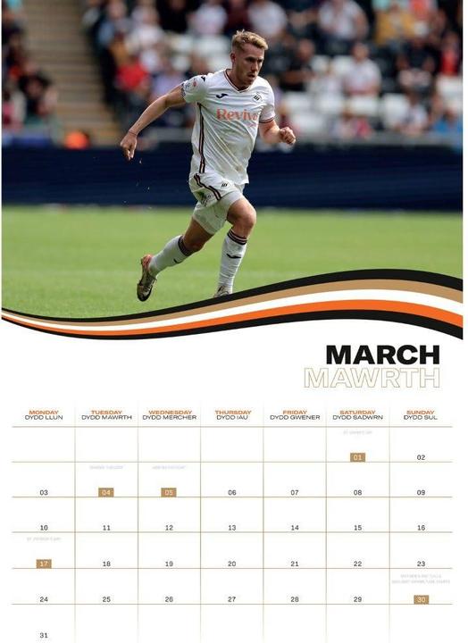 Image du produit Swansea City AFC - Calendrier mural (A3)
