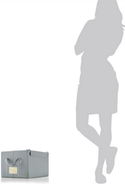 Image du produit reisenthel Storagebox M (31 x 40 x 23 cm, 30 l)