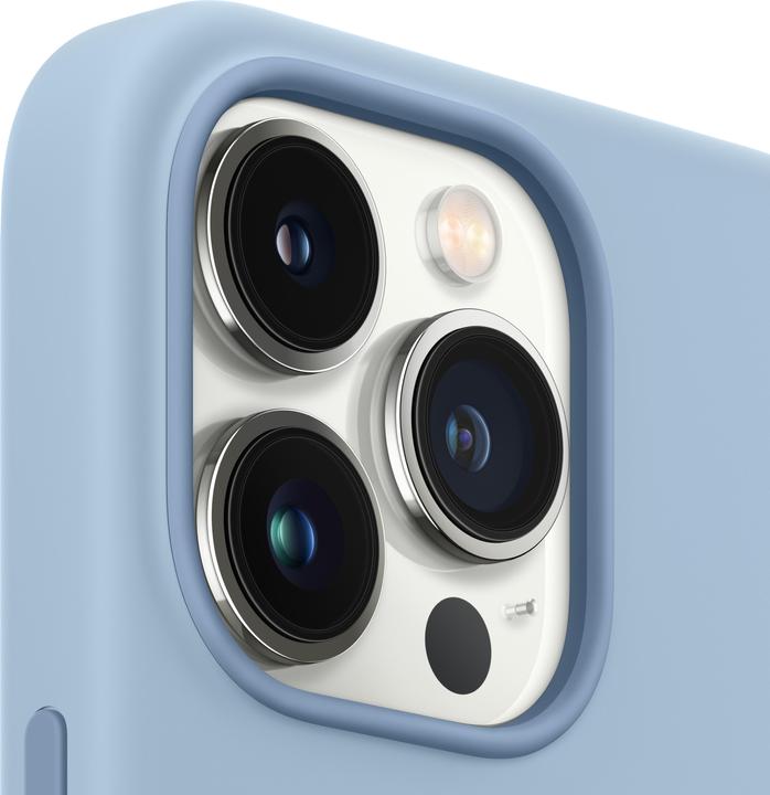 Actual product image Apple Silicone Case with MagSafe (Apple iPhone 13 Pro)