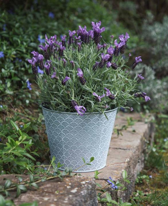 Immagine prodotto Esmée Vaso da fiori / fioriera Orient, lamiera (23 cm)