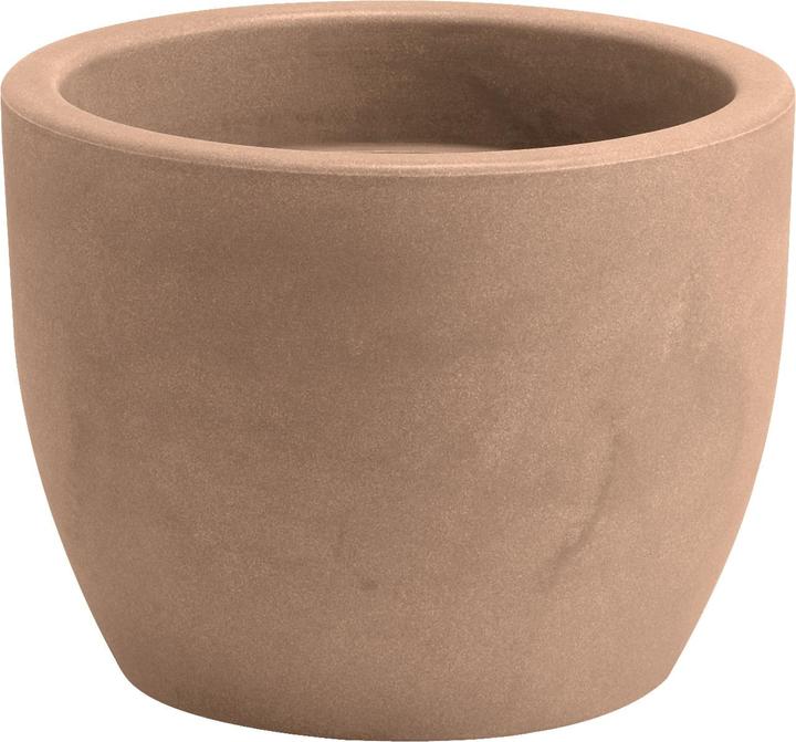 Giarnaldo Hera (30 cm)