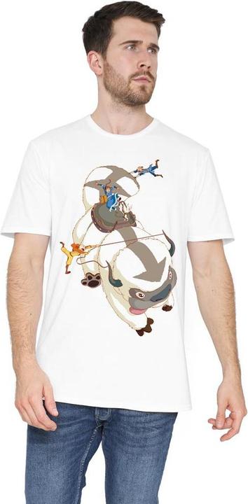 Image du produit Avatar: The Last Airbender - T-shirt HANG ON - Homme (L)