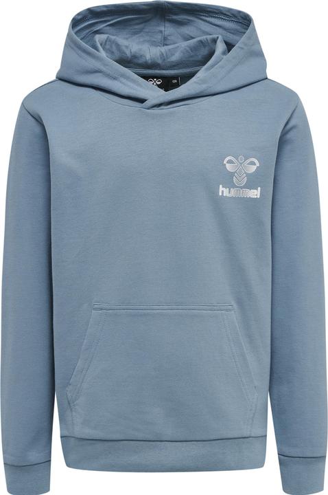 Actual product image hummel Proud Hoodie (110)