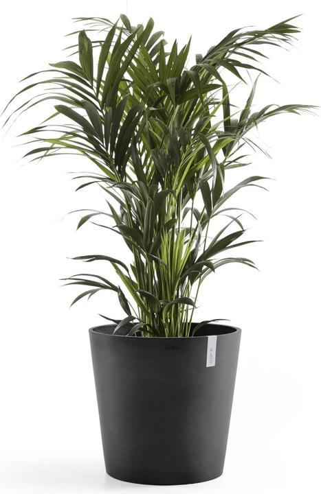 Immagine prodotto Ecopots Amsterdam + serbatoio dell'acqua (50 cm)