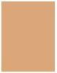 Actual product image Coty Rimmel Lasting Finish Powder Primer No. 003 Sesame 10g (003 Sesame)